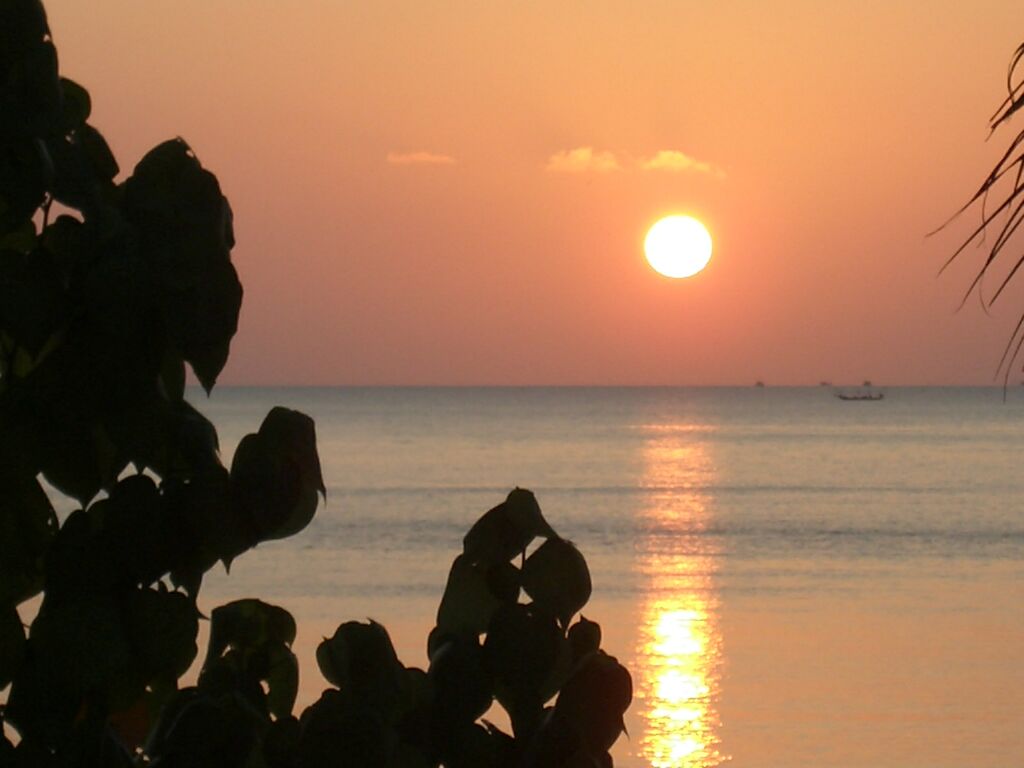 Click to See Next Image